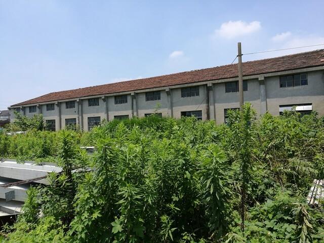 太仓厂房出租2000平米