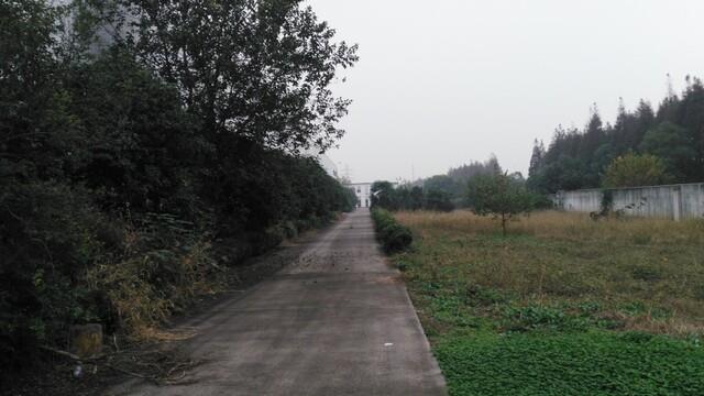 求租太仓市厂房2000平米土地8亩