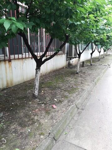 求租太仓危险品仓库1000平方