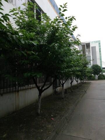 求租太仓厂房仓库1800平米