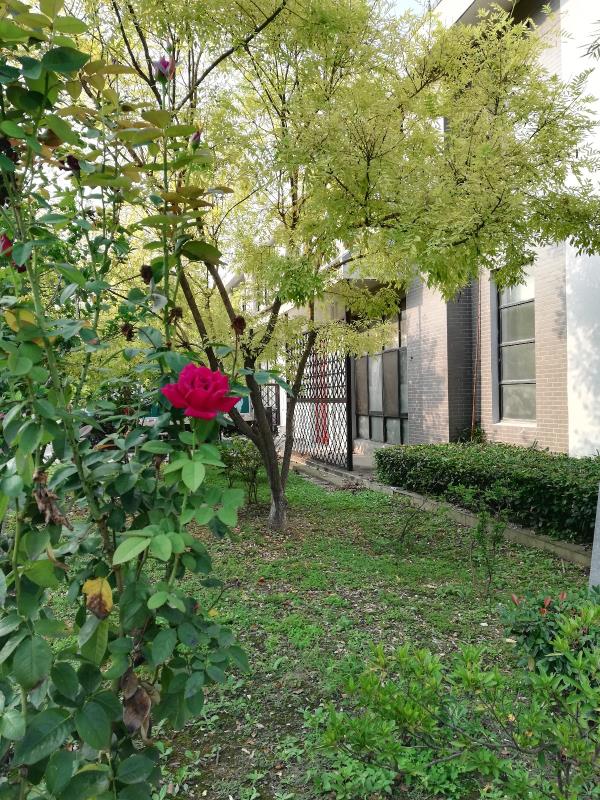 太仓厂房出租450平米